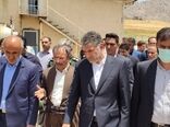 وزیر جهاد کشاورزی از کارخانه خوراک دام هلانی شهرستان جوانرود بازدید کرد