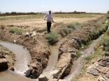 یکپارچه‌سازی کشت و حقابه؛ راهکاری بومی برای کاهش اتلاف آب در مزارع