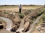 یکپارچه‌سازی کشت و حقابه؛ راهکاری بومی برای کاهش اتلاف آب در مزارع