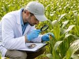 تدوین ۲۸ طرح تحقیقاتی و ۲۰ طرح توسعه‌ای برای کاهش خسارت آفات در کشاورزی