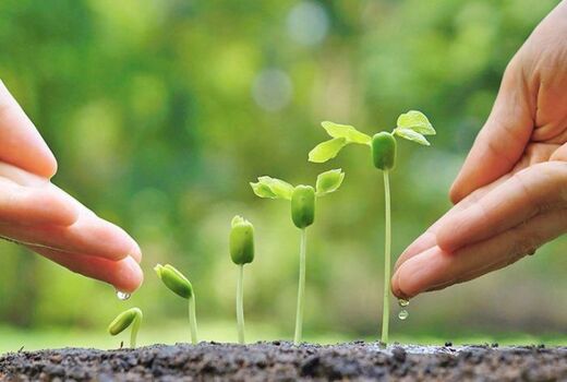  برنامه ریزی‌ها و تصمیمات ما باید در جهت صیانت محیط زیست برای آیندگان باشد
