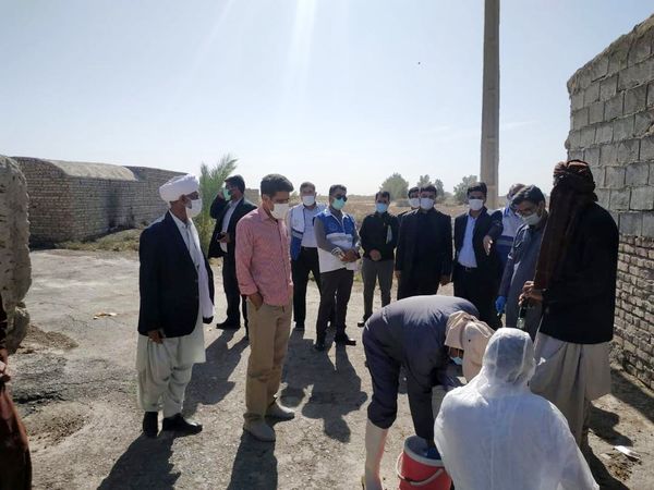 مانور پیشگیری از بیماری هاری در شهرستان زابل اجراشد