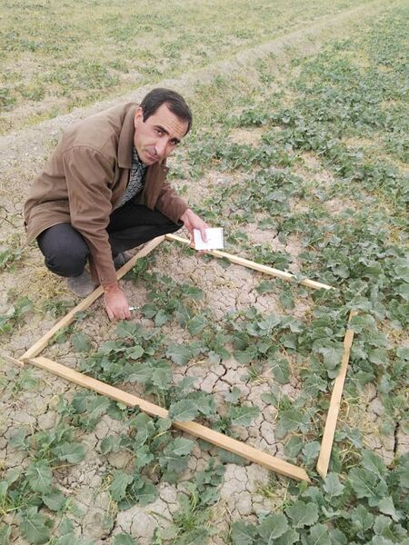 برنامه ریزی هدفمند و به کارگیری فن آوری های نوین، کلید موفقیت است