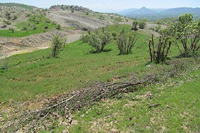 طرح‌های آبخیزداری در هفت روستای بوئین زهرا اجرا شد
