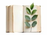فراخوان شناسایی برترین کتاب‌ها و آثار ترویجی کشاورزی و منابع طبیعی