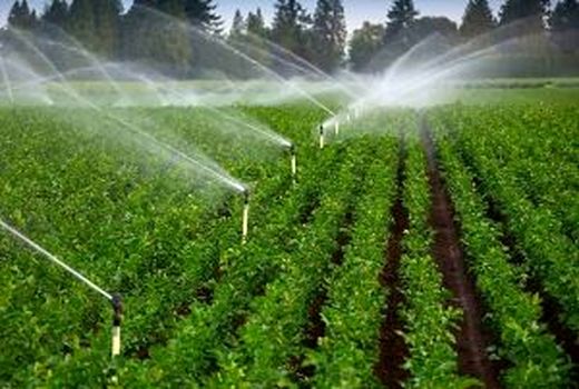 بررسی وضعیت اجرای طرح شبکه های آبیاری و زهکشی شمال غرب کشور در آدربایجان غربی