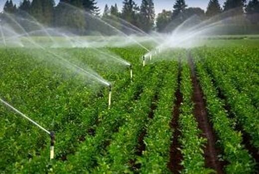 بررسی وضعیت اجرای طرح شبکه های آبیاری و زهکشی شمال غرب کشور در آدربایجان غربی