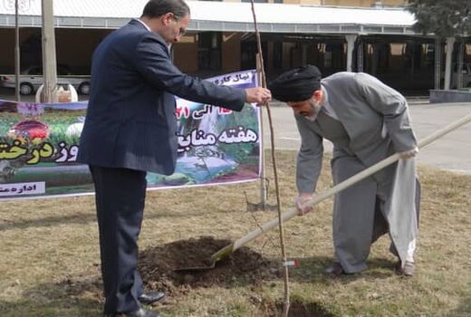 تاکید امام جمعه ارومیه بر ترویج فرهنگ درختکاری در جامعه 