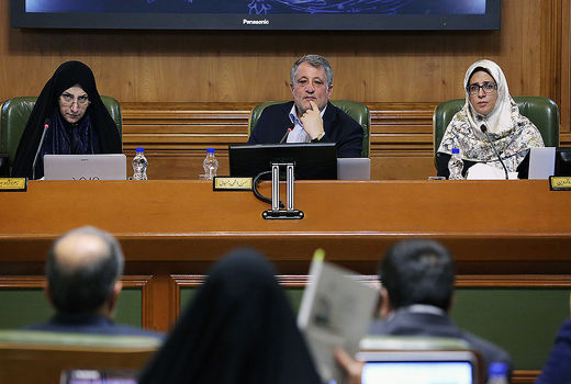 نهاد شوراها هنوز نورس است