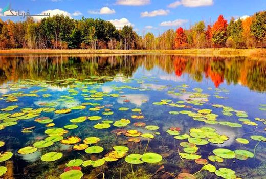 ضرورت بهره‌گیری از ظرفیت گردشگری کشاورزی چهارمحال و بختیاری