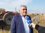 خرید تضمینی بیش از یک میلیون و ۲۰۰ هزار تن چغندرقند از زارعین آذربایجان غربی