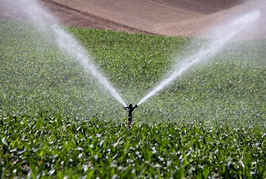 138 طرح تولیدی در 10 روز گذشته آغاز به کار کرد