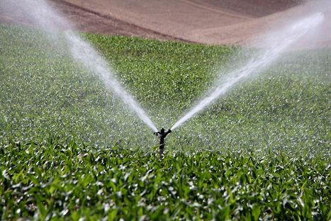 138 طرح تولیدی در 10 روز گذشته آغاز به کار کرد