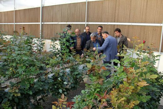 بازدید معاون هماهنگی امور اقتصادی استانداری از طرح های بخش کشاورزی شهرستان بروجن