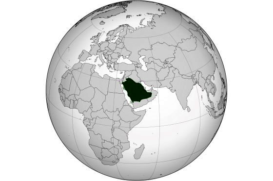 استفاده از حشرات در تأمین پروتئین خوراک دام