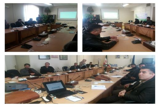 دامداران پیشرو در جلسه هم اندیشی اصول اصلاح نژاد دام سبک شرکت کردند