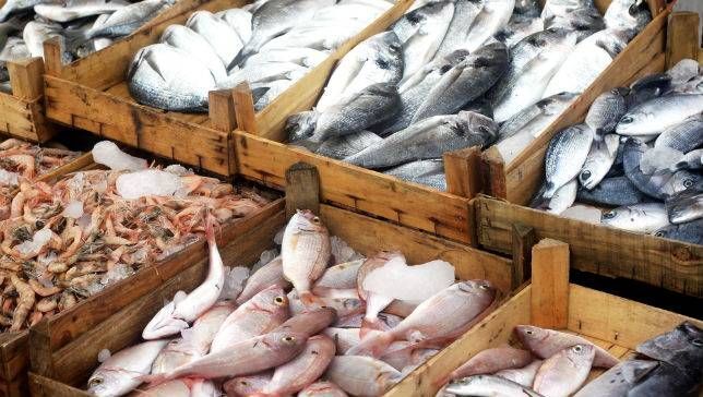 توسعه بازارهای غیر دائم محصولات شیلاتی/ ماهی با تخفیف های 10 تا 35 درصدی در نمایشگاه های نوروزی و بهاره عرضه می شود
