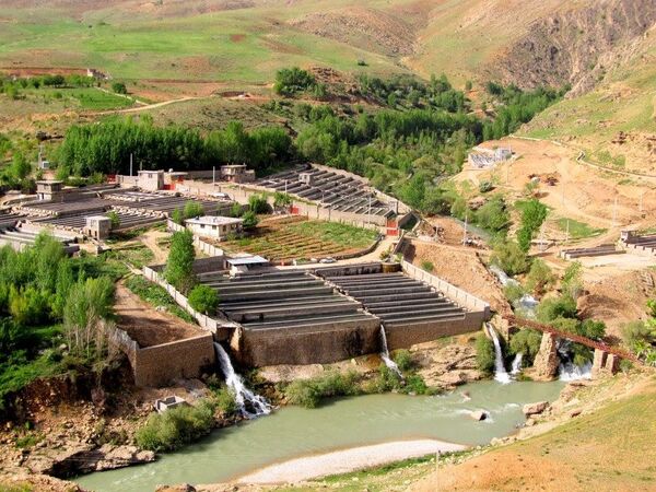 ۹ هزار تن ماهی سردابی قزل‌آلا در شهرستان اردل تولید شد