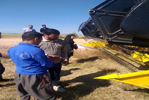 برداشت محصولات پاییزه در کارون