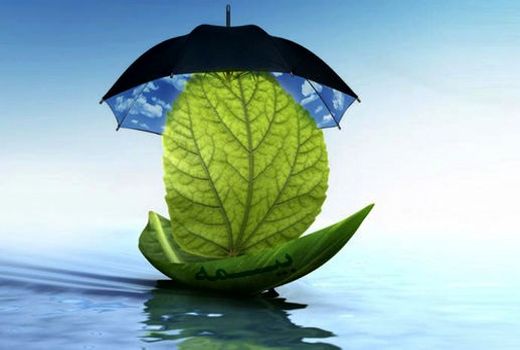 افزایش سطح بیمه شده محصولات کشاورزی 