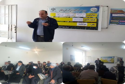 آشنایی با عناصر غذایی مفید گیاه در دیمزارهای دزفول