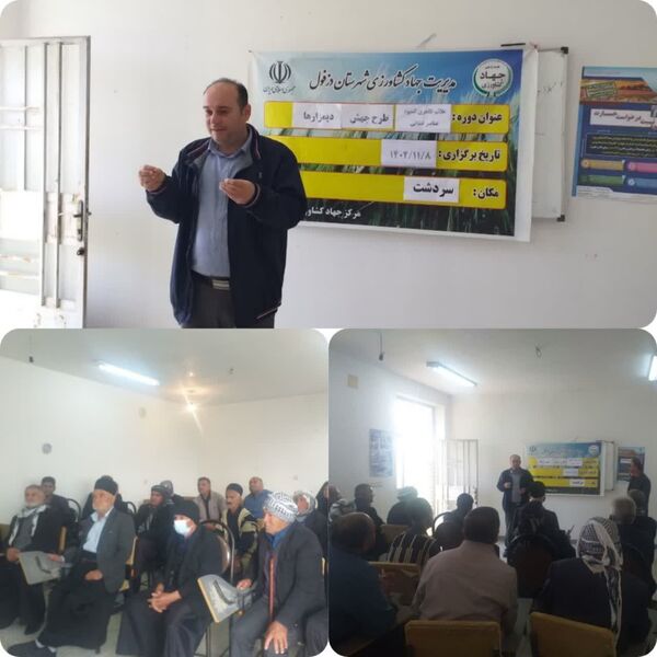 آشنایی با عناصر غذایی مفید گیاه در دیمزارهای دزفول