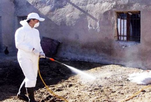 ایمن سازی ۲۰۰ هزار راس دام علیه بیماری‌های مشترک بین انسان و دام در سیستان و بلوچستان