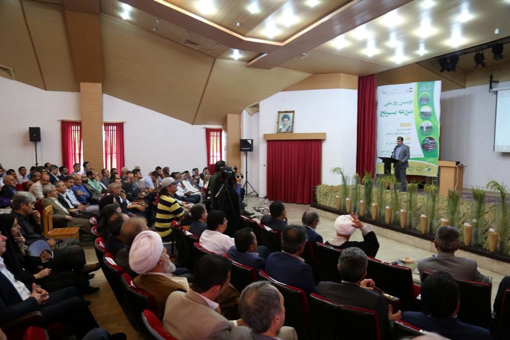 روز ملی برنج