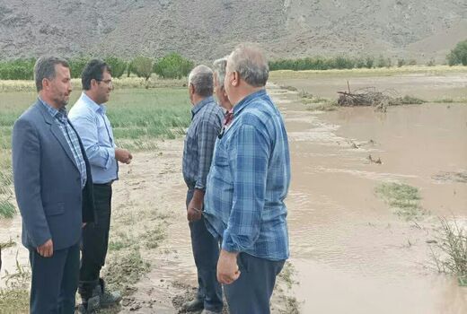 خسارت سیل به محصولات باغی، زراعی و تاسیسات کشاورزی شهرستان هوراند