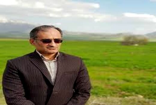 کلزاکاران مناطق گرمسیری مزارع  خود را علیه آفت سنک سمپاشی نمایند