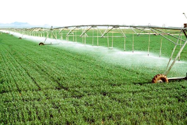 بهینه‌سازی مصرف آب با توسعه اراضی شیبدار به روش دیم