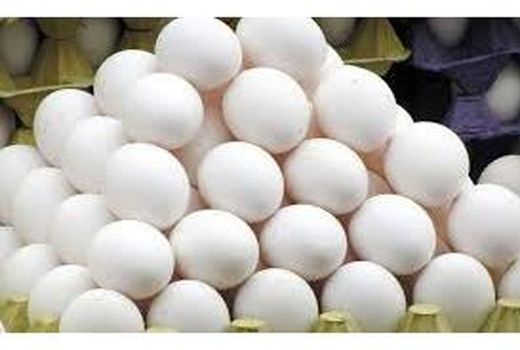 تولید 3500 تنی تخم مرغ در آمل