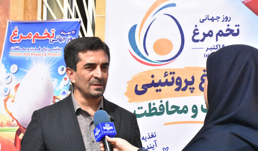 سرانه مصرف تخم‌مرغ در جهان ۳۰۰ عدد و در ایران ۲۲۰ عدد؛ ضرورت افزایش مصرف در کشور