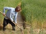89 درصد بخش زراعت استان اصفهان مکانیزه است