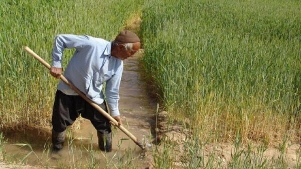 89 درصد بخش زراعت استان اصفهان مکانیزه است