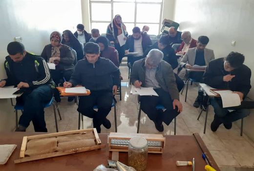 توسعه زنبورداری موثردراشتغال و تقویت اقتصاد خانوار روستایی