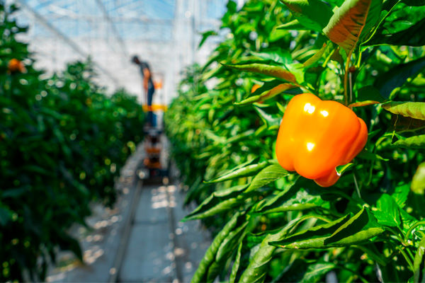 پرداخت بیش از2 هزار میلیارد ریال تسهیلات بانکی درچهارمحال و بختیاری