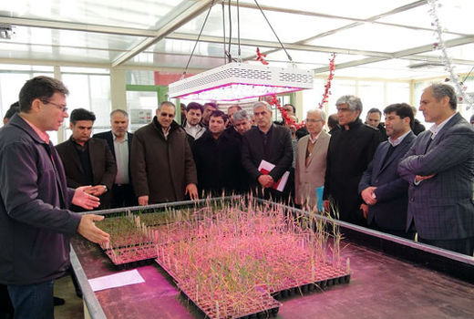 دو طرح موسسه تحقیقات کشاورزی در مراغه به بهره‌برداری رسید