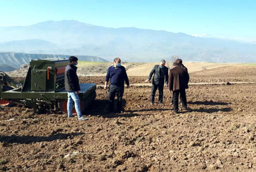 کشت50 هکتاری دانه های روغنی گلرنگ در سطح شهرستان خداآفرین