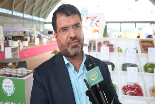 لزوم توجه به برگزاری نمایشگاه های تخصصی  برای توسعه بخش کشاورزی