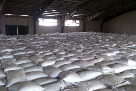 تأمین و توزیع 9 هزار و 10 تن انواع کودهای یارانه‌ای در استان البرز