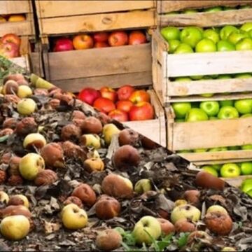 کاهش ضایعات غذا؛ از نجات غذا تا تاب‌آوری نظام کشاورزی