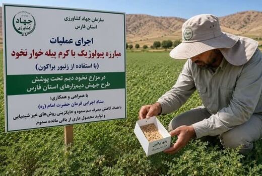 گام تازه فارس برای تولید محصول سالم با مبارزه بیولوژیک در دیمزارها