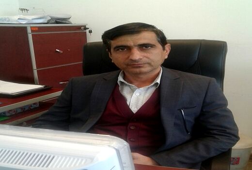 کشت 40 هزار هکتار نخود پاییزه در استان کرمانشاه