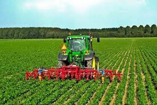 توسعه کشت زیره سبز با ارتقای مکانیزاسیون