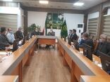 برگزاری جلسه اضطراری بررسی خسارت وارده به اراضی شالیزاری گیلان