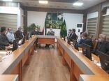 برگزاری جلسه اضطراری بررسی خسارت وارده به اراضی شالیزاری گیلان