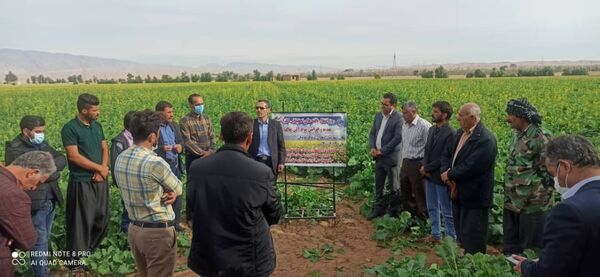 برگزاری رویداد ترویجی در شهرستان دهلران