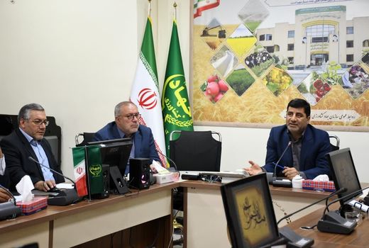 پیش‌بینی تولید 700 هزار تن گندم در آذربایجان شرقی