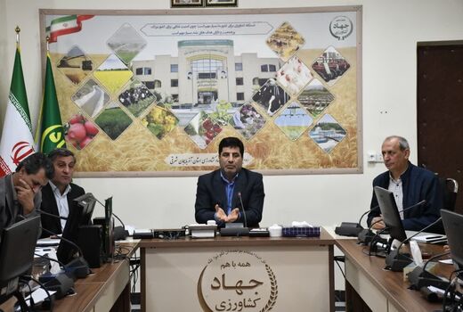 احیا دامداری‌های سنتی در دستور کار وزارت جهاد کشاورزی